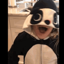 Panda Crazy GIF - Panda Crazy GIFs