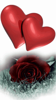 Two Hearts Hearts GIF - Two Hearts Hearts Red Heart GIFs
