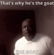 The Goat GIF - The Goat GIFs