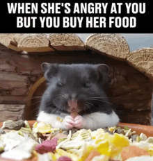 Rat Snack GIF - Rat Snack Mouse GIFs