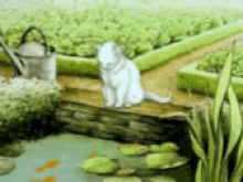 Cat Lake GIF - Cat Lake Animated GIFs