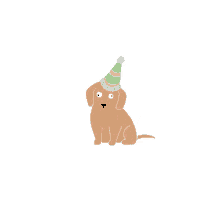 Party Dog GIF