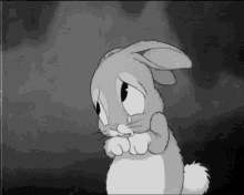 Me Desculpe, Chorando, Perdão, Coelhinho GIF - Bunny Crying Imsorry GIFs