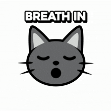 breath respira%C3%A7%C3%A3o cats gato cat