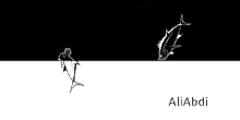a black and white drawing of a fish with the name aliabdi