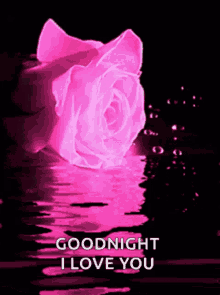 glitter sparkle goodnight roses night