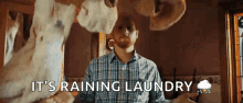 Laundry Towels GIF - Laundry Towels Throwing GIFs