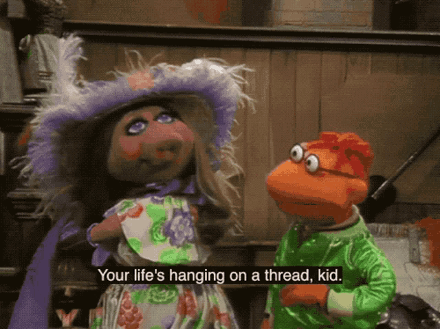 muppet-show-muppets.gif
