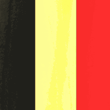 Belgium GIF - Beglium Flag Brussels GIFs
