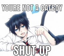 a picture of a boy with cat ears that says you 're not a cat boy shut up
