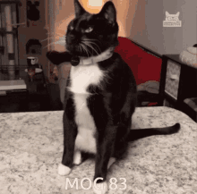 mogcat 83