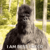 a gorilla in a costume is standing in the woods and says `` i am best eoeco '' .