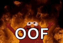 Flaming Elmo Flaming Elmo Meme GIF - Flaming Elmo Flaming Elmo Meme Flaming GIFs