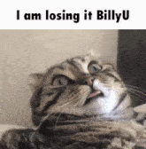 Billyu Billy U GIF