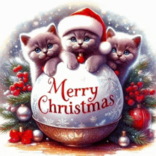 three kittens sitting on top of a merry christmas decoration