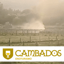 a logo for cambados enoturismo with a picture of a fire