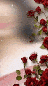 a bunch of red roses on a table with a woman in the background
