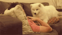 a woman is laying on a couch with a dog on her lap .