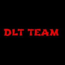 Dlt Team Ninja GIF - Dlt Team Ninja Logo GIFs