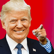 Point Donald Trump GIF - Point Donald Trump You GIFs