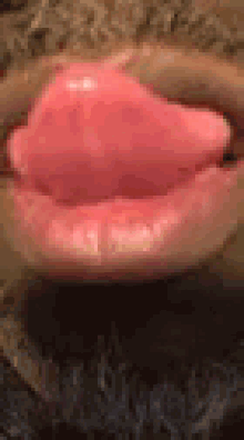 Licking Lips GIF - Licking Lips Love GIFs