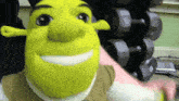 Sml Shrek GIF - Sml Shrek Dumbbells GIFs