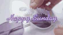 Happy Sunday Sunglasses GIF - Happy Sunday Sunday Sunglasses GIFs