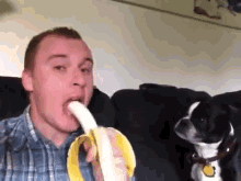 Man And Dog Share A Banana GIF - Banana Dog Man GIFs