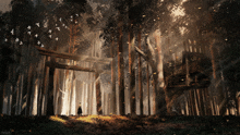 Forest GIF