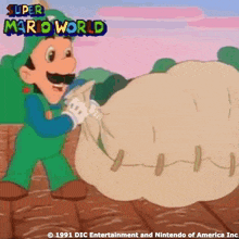 a cartoon of mario and luigi from the super mario world game
