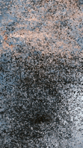 a puddle of water with a lot of small rocks in it
