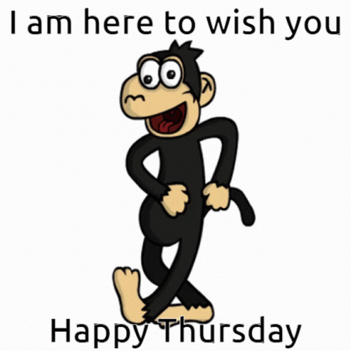 Monkey Thursday GIF
