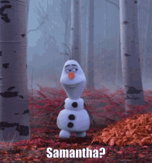Frozen2 Disney GIF - Frozen2 Disney Olaf GIFs