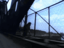 Billy Joel Running GIF - Billy Joel Running Bridge GIFs