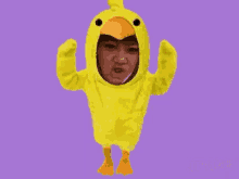 Chicken Duck GIF - Chicken Duck Haha GIFs