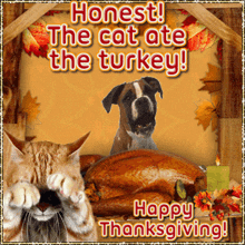 Thanksgiving Thanksgiving Funny GIF - Thanksgiving Thanksgiving Funny GIFs