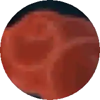 a pixelated image of a circle with a red border