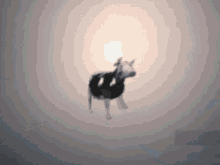 Cow Dance GIF - Cow Dance Space GIFs