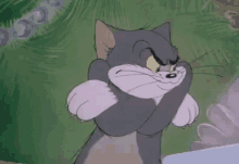 Quiero El Divorcio Ahora Mismo GIF - Tom Tom Y Jerry Divorcio GIFs