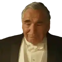 a man in a tuxedo and bow tie looks down