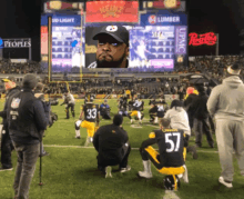 Steelers Crying GIF - Steelers Crying Cry GIFs
