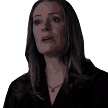 oh really emily prentiss paget brewster criminal minds evolution sicarius