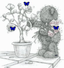 Tatty Teddy Smelling The Roses GIF