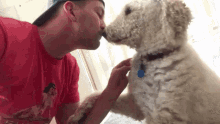 Chrisstrub Puppy GIF - Chrisstrub Puppy Kisses GIFs
