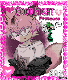 a picture of a cartoon character with the words good night princess written on it