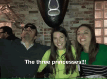 Princess Bride GIF - Princess Bride Princesses GIFs