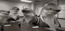 a group of sharks are sitting around a table in an office .