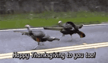 Turkey Mad GIF - Turkey Mad Happy Thanksgiving GIFs