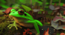 Frog Hey You GIF - Frog Hey You GIFs