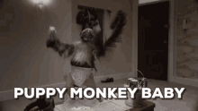 Puppymonkeybaby Funny GIF - Puppymonkeybaby Puppy Monkey GIFs